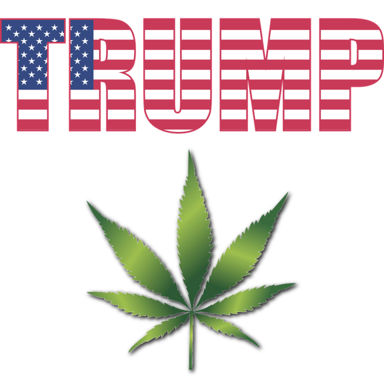 President Trump Gives Terminally Ill “Right To Try” Medical Marijuana