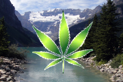 Northern Lights (the Way)! A Closer Look at Canadian Legalization and Why it Matters