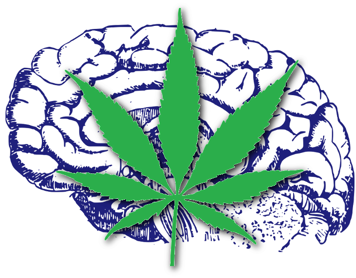 This is your brain on Cannabis
