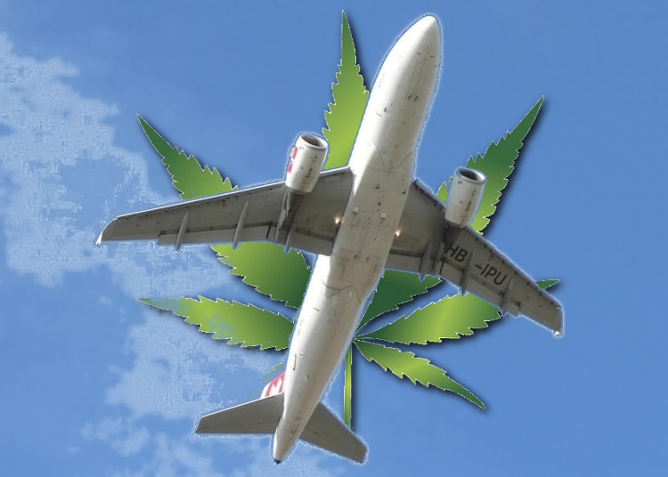 TSA Updates Policy on Flying with CBD
