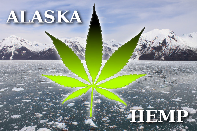Alaska Sows Seeds For Hemp Program