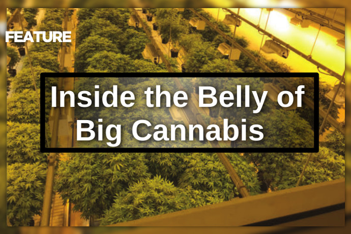 Inside the Belly of Big Cannabis