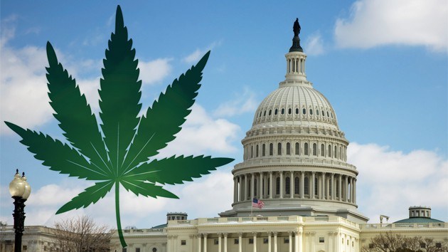 Senate Hearing Shows Challenges to Rewriting Cannabis Laws