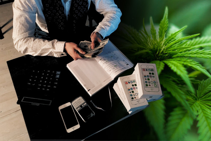Help For Small Businesses to Navigate Cannabis Market