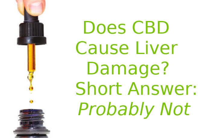 Does CBD Cause Liver Damage? Short Answer: Probably Not