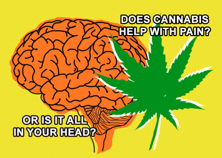 Does cannabis help with pain relief? Or is it all in your head?