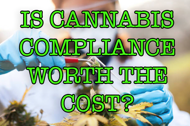 IS CANNABIS COMPLIANCE WORTH THE COST?