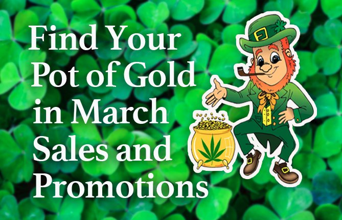 Find Your Pot of Gold in March Sales and Promotions