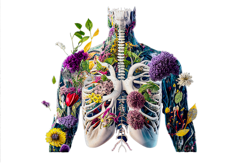 The Endocannabinoid System: How Our Bodies Accept the MedicineThe
