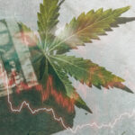 Cannabis stocks have failed investors miserably.
