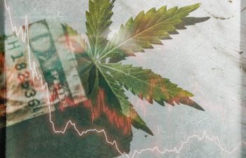 Cannabis stocks have failed investors miserably.