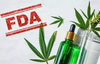 FDA-Rejects-Charlottes-Web-and-Irwin-Naturals-Applications-to-Retail-CBD-as-a-Dietary-Supplement