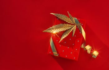 Beautiful Christmas present with gold cannabis leaf bow.